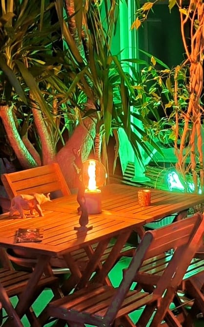 Die Lounge am Abend: ein Holztisch mit warm leuchtender Lampe und Klappstühlen, dahinter hohe Zimmerpflanzen vor grün beleuchteten Fenstern.